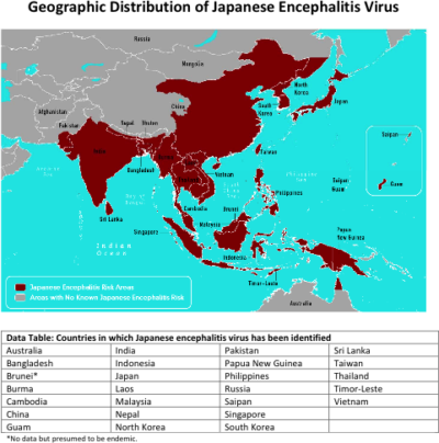 Encéphalite japonaise