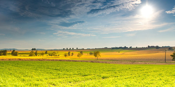 L’usage du glyphosate est-il devenu indispensable pour l’agriculture contemporaine ?