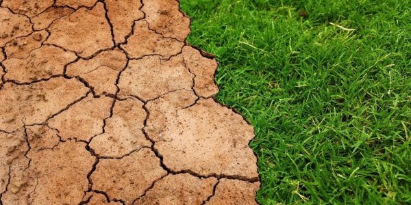 Un nouveau rapport spécial du GIEC sur un réchauffement global possible de 1,5°C