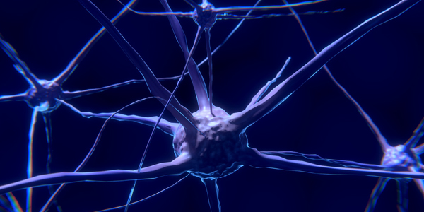 Imagerie de l'architecture fonctionnelle de l'encéphale : du neurone au cerveau