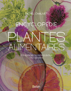 Encyclopédie des plantes alimentaires (M. Chauvet, Belin, 2018)