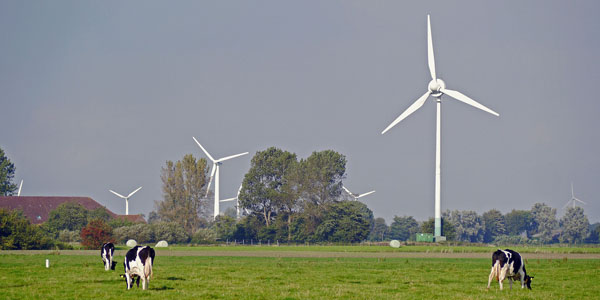 Les éoliennes peuvent-elles être mises en cause dans les problèmes ayant affecté deux élevages bovins en Loire-Atlantique ?