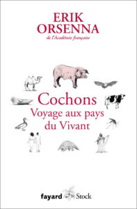 Cochons. Voyage aux pays du Vivant (E. Orsenna, Fayard, 2020)