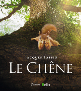 Le chêne (J. Tassin, Belin, 2022)