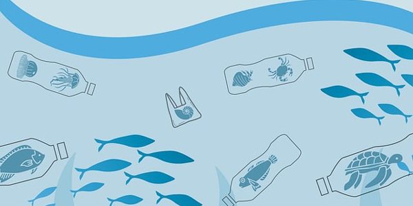 pollution-plastique-vignette