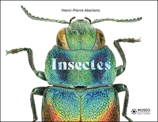 Insectes (H.-P. Aberlenc, Museo, 2023)