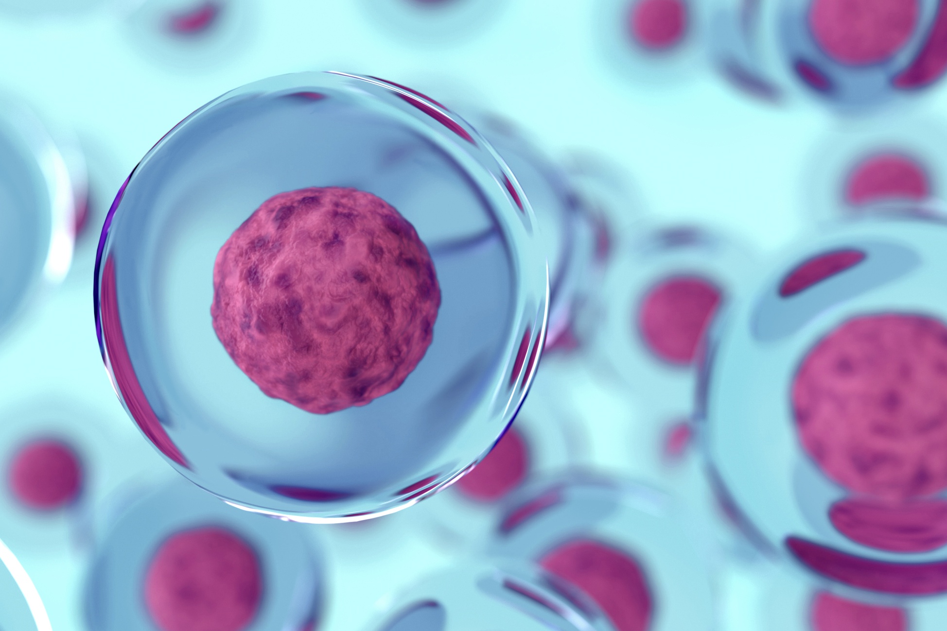 maladie-auto-immune-definition-81128be5ddec3998