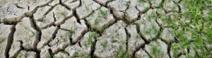 Changement climatique