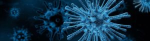Virus