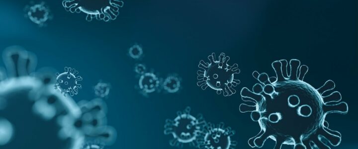 Émergence d’un virus Oropouche : des risques en France ? Émergence d’un virus Oropouche : des risques en France ?