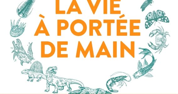 La Vie à portée de main La Vie à portée de main