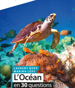 Un livre, une rencontre – L’océan en 30 questions avec Marina Lévy Un livre, une rencontre – L’océan en 30 questions avec Marina Lévy