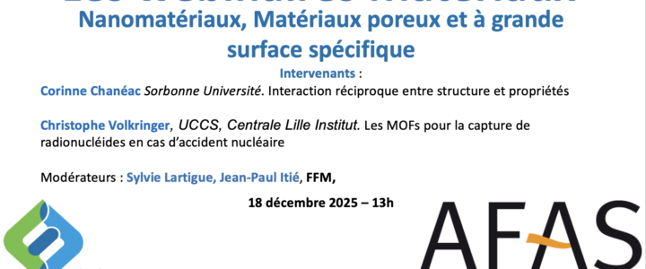 Nanomatériaux, matériaux poreux et à grande surface spécifique